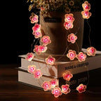 Cherry Blossom fairy string lights with warm LEDs for indoor room decor, battery operated, 10 ft, 30 LED