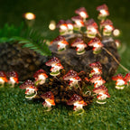 Mushroom fairy string lights with warm LEDs for indoor room decor, battery operated, 10 ft, 30 LED
