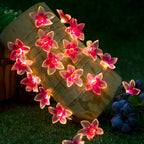 Pink Flower fairy string lights with warm LEDs for indoor room decor, battery operated, 10 ft, 30 LED