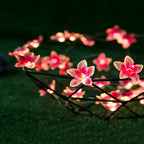 Pink Flower fairy string lights with warm LEDs for indoor room decor, battery operated, 10 ft, 30 LED